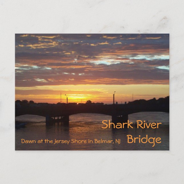 Shark River Bridge Postkarte (Vorderseite)