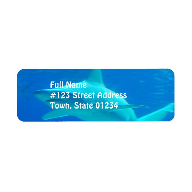 Shark Swimming Mailing Labels (Vorne)