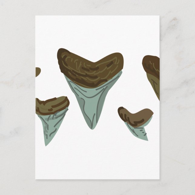Shark Teeth Postkarte (Vorderseite)