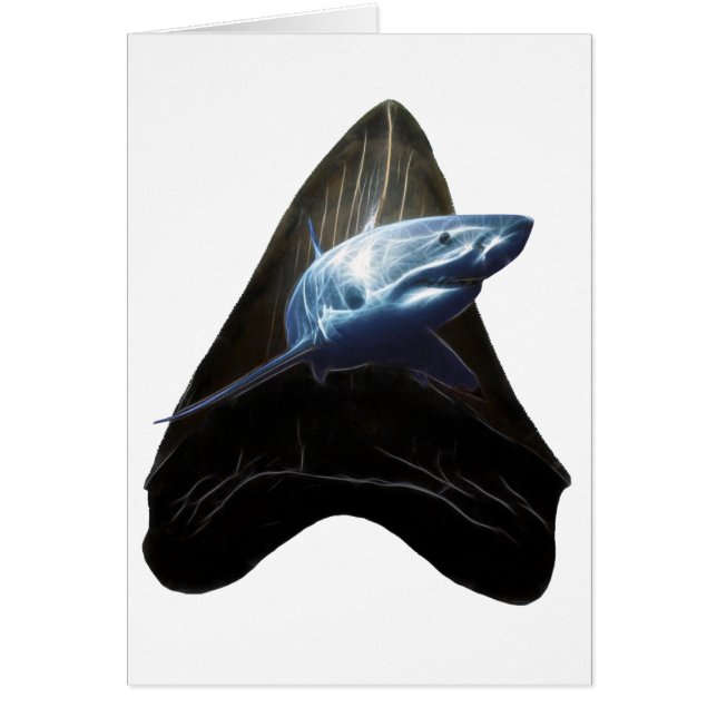Shark Tooth Card (Vorne)