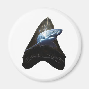 Shark Tooth Magnet