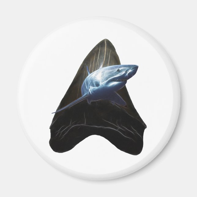Shark Tooth Magnet (Vorne)