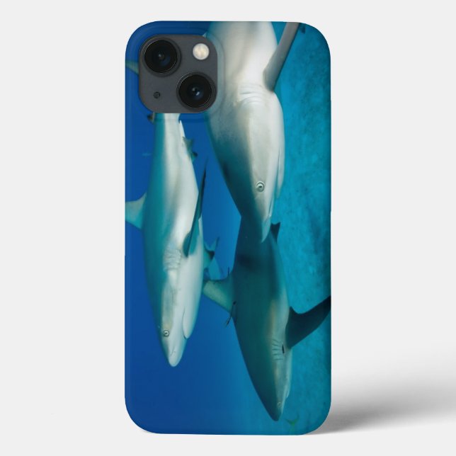 Shark Trio iPad Case (Rückseite)