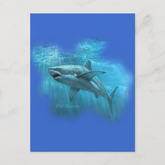 Sharks Collection von FishTs.com Postkarte