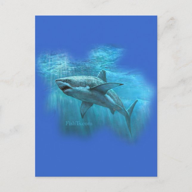 Sharks Collection von FishTs.com Postkarte (Vorderseite)