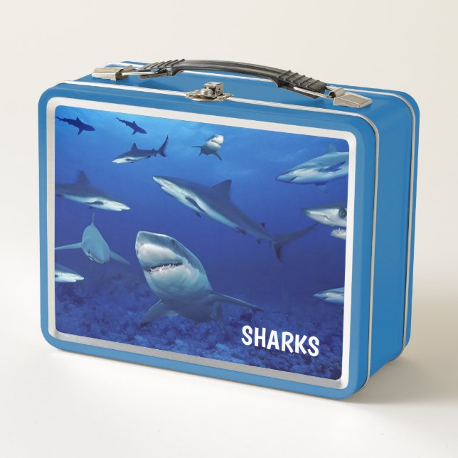 Sharks Metal Lunch Box (Vorderseite)