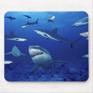 Sharks Mouse Pad Mousepad
