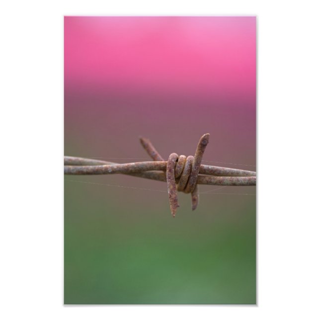 Sharp Colors. Fotodruck (Vorne)