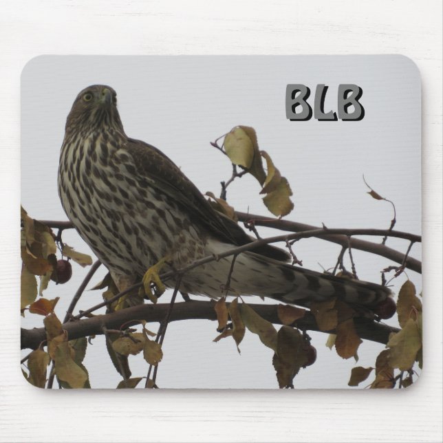 Sharp Shinned Hawk in Tree Your Initials Mousepad (Vorne)