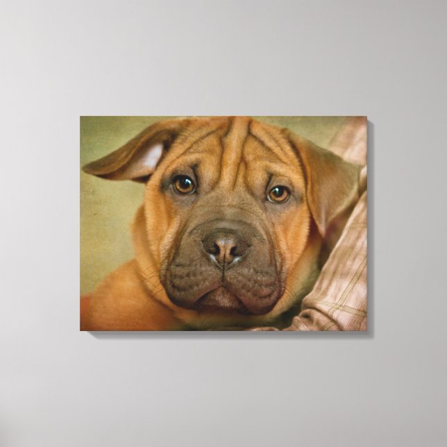 Sharpei-Beagle-Welpe Leinwanddruck (Vorderseite)