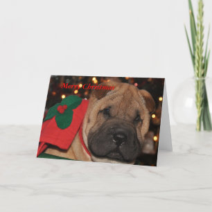 Sharpei Christmas Card Feiertagskarte