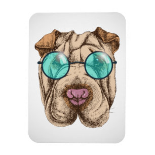 Sharpei in Sonnenbrille Magnet