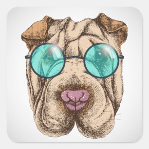 Sharpei in Sonnenbrille Quadratischer Aufkleber
