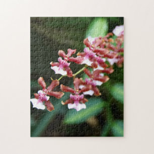 Sharry Baby Oncidium 10x14 Foto-Puzzlespiel Puzzle