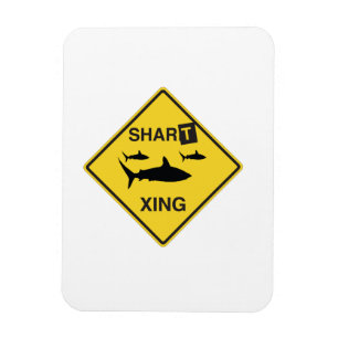 Shart Crossing Magnet