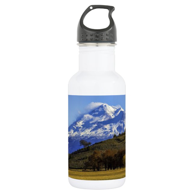 SHASTA ANSICHT TRINKFLASCHE (Vorderseite)