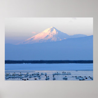 Shasta California Poster