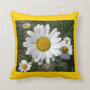 Shasta Daisies (Chrysanthemum maximum) Kissen