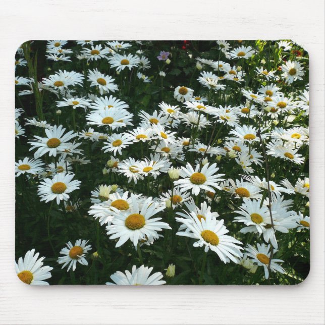 Shasta Daisies Mousepad (Vorne)