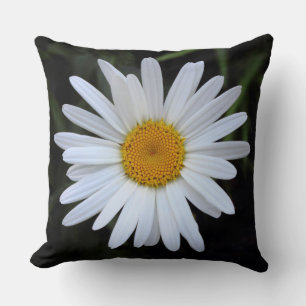 Shasta Daisy 01 Kissen