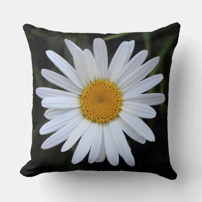 Shasta Daisy 01 Kissen (Vorderseite)