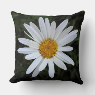 Shasta Daisy 03 Kissen