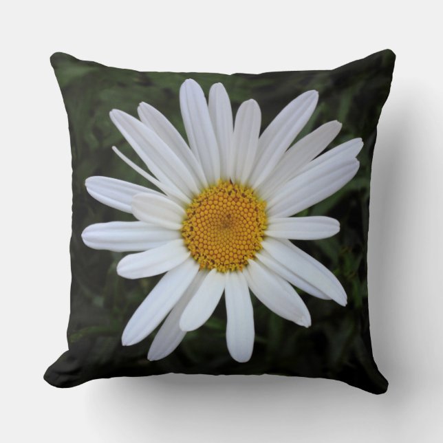 Shasta Daisy 03 Kissen (Vorderseite)