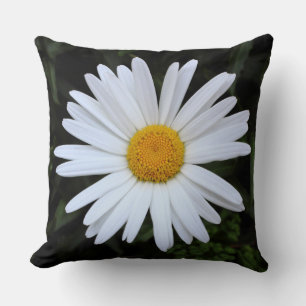 Shasta Daisy 04 Kissen