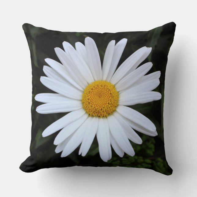Shasta Daisy 04 Kissen (Vorderseite)