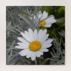 Shasta Daisy Blume und Artemisia Puzzle