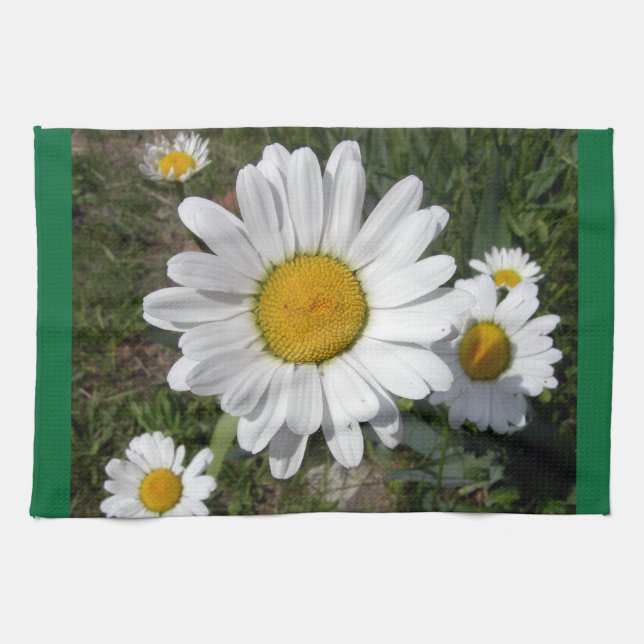 Shasta Daisy (höchstens Chrysanthemum) Geschirrtuch (Horizontal)