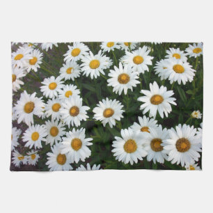 Shasta Daisy Kitchen Handtuch