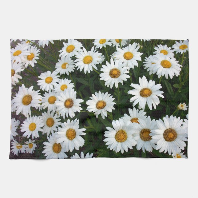 Shasta Daisy Kitchen Handtuch (Horizontal)