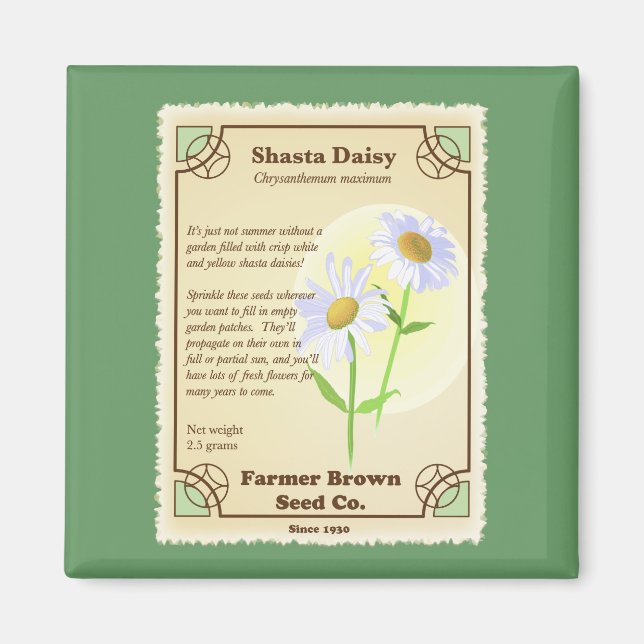 Shasta Daisy Seed Packet Magnet (Vorne)