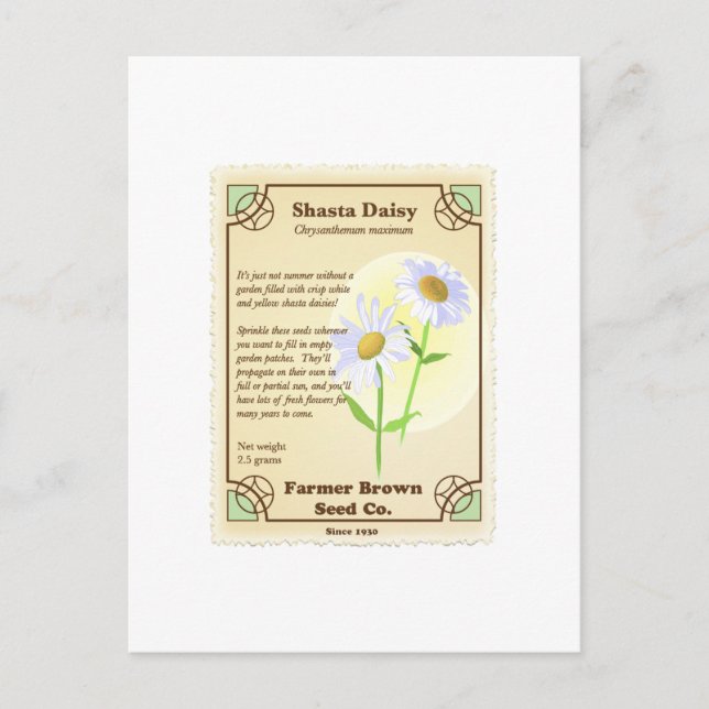 Shasta Daisy Seed Packet Postkarte (Vorderseite)
