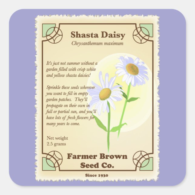 Shasta Daisy Seed Packet Quadratischer Aufkleber (Vorderseite)