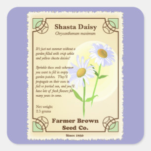 Shasta Daisy Seed Packet Quadratischer Aufkleber