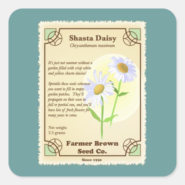 Shasta Daisy Seed Packet Quadratischer Aufkleber (Vorderseite)