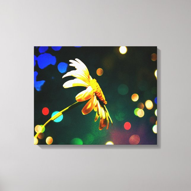 Shasta Daisy Sparkle Wrapped Canvas Leinwanddruck (Vorderseite)