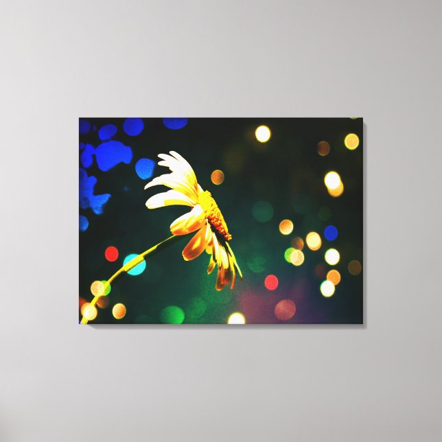 Shasta Daisy Sparkle Wrapped Canvas Leinwanddruck (Vorderseite)