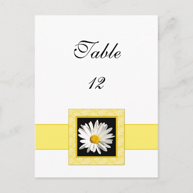 Shasta Daisy Tischnummer Postcard (Vorderseite)