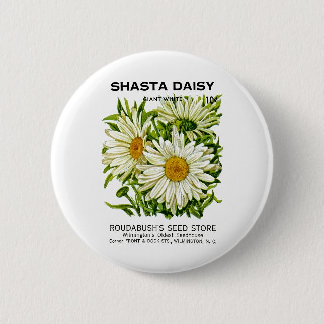 Shasta Daisy Vintag Seed Packet Button (Vorderseite)