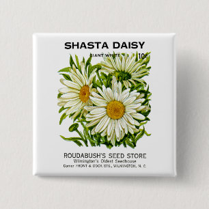 Shasta Daisy Vintag Seed Packet Button