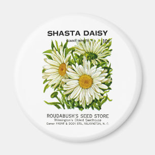 Shasta Daisy Vintag Seed Packet Magnet