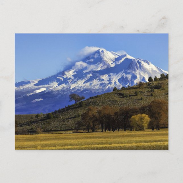 SHASTA VIEW POSTKARTE (Vorderseite)