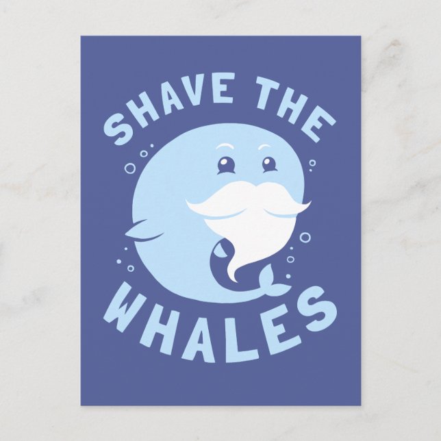 Shave the Whales Postkarte (Vorderseite)