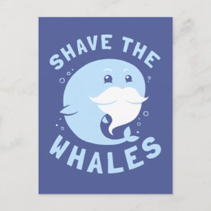 Shave the Whales Postkarte