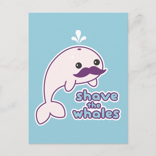 Shave the Whales Postkarte (Vorderseite)