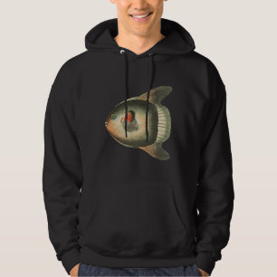 Shaw Kurz Sun Fish Illustration Hoodie