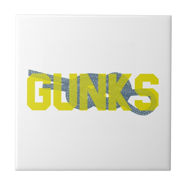 Shawagunks Climbing Fliese (Vorderseite)